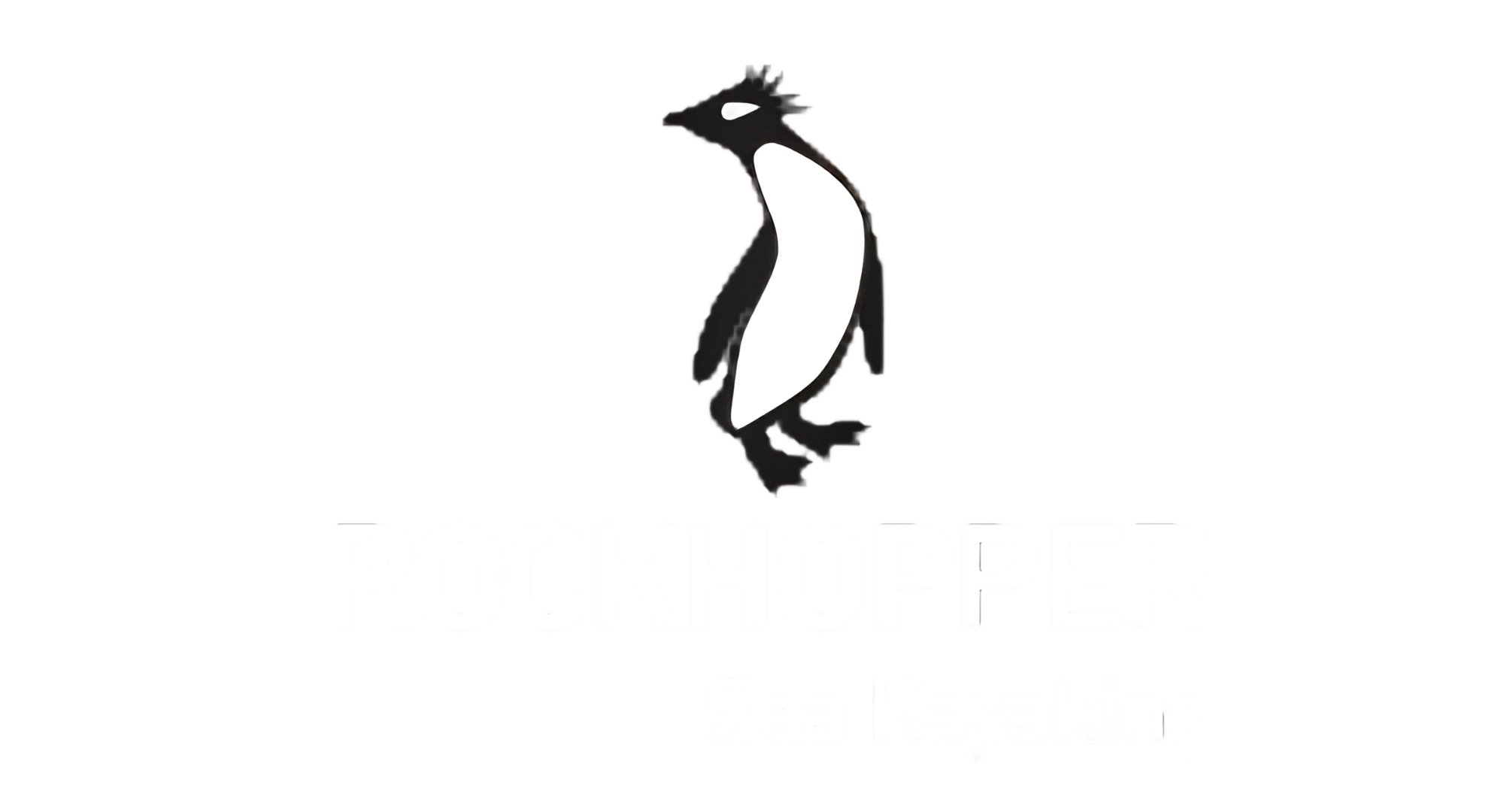 Stylized black and white penguin illustration on a white background.